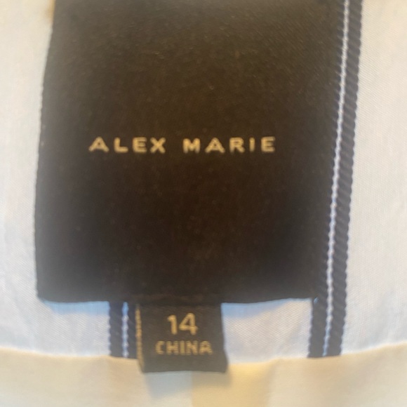 Alex Marie Striped Navy and White Midi Dress - Picture 7 of 7